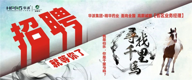 寻找千里马 | 华派集团&bull;亿万先生药业面 向天下高薪诚聘【省区营业司理】 我是伯乐，，，你是千里马吗？