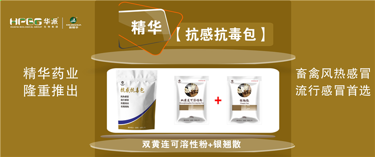 科普：：：几种常见畜禽伤风与盛行性伤风的防控 |【抗感抗毒包】抗菌消炎、、、解热排毒、、、抗毒增免，，，畜禽风热伤风、、、盛行伤风首选!
