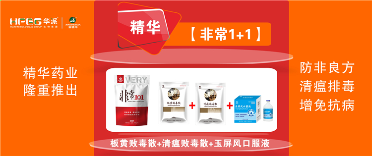 科普：：：非洲猪瘟防控步伐 |【很是1+1】防非良方, 清瘟排毒、、、增免抗。！！，，，加速猪瘟抗体爆发!